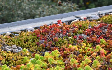 the cost of Eccles green roof installation