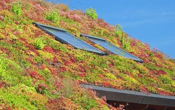 Eccles living roof systems