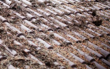 Eccles roof cleaning companies